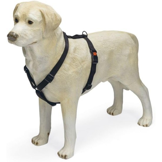 Karlie Art Sportiv Plus Harness, 35-50 cm x 15 mm, Grey Karlie Art Sportiv Plus Harness, 35-50 cm x 15 mm, Grey
