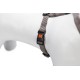 Karlie Art Sportiv Plus Harness, 35-50 cm x 15 mm, Grey Karlie Art Sportiv Plus Harness, 35-50 cm x 15 mm, Grey