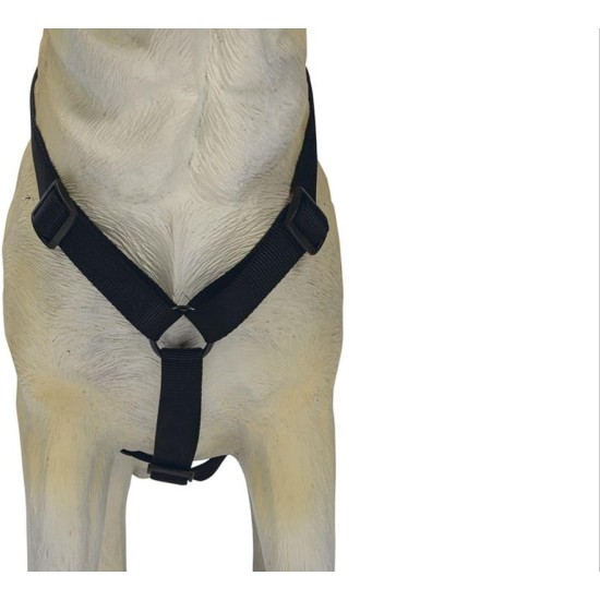 Karlie Art Sportiv Plus Harness, 35-50 cm x 15 mm, Grey Karlie Art Sportiv Plus Harness, 35-50 cm x 15 mm, Grey