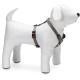 Karlie Art Sportiv Plus Harness, 35-50 cm x 15 mm, Grey Karlie Art Sportiv Plus Harness, 35-50 cm x 15 mm, Grey