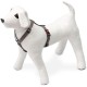 Karlie Art Sportiv Plus Harness, 35-50 cm x 15 mm, Grey Karlie Art Sportiv Plus Harness, 35-50 cm x 15 mm, Grey