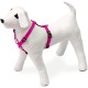 Karlie Art Sportiv Plus Harness, 35-50 cm x 15 mm, Grey Karlie Art Sportiv Plus Harness, 35-50 cm x 15 mm, Grey