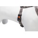 Karlie Art Sportiv Plus Harness, 35-50 cm x 15 mm, Grey Karlie Art Sportiv Plus Harness, 35-50 cm x 15 mm, Grey
