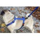 Karlie Art Sportiv Plus Harness, 35-50 cm x 15 mm, Grey Karlie Art Sportiv Plus Harness, 35-50 cm x 15 mm, Grey