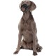 Karlie Flamingo Comfort Muzzle Nylon for Dogs, 16-22 x 18-42 cm Karlie Flamingo Comfort Muzzle Nylon for Dogs, 16-22 x 18-42 cm
