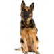 Karlie Flamingo Comfort Muzzle Nylon for Dogs, 16-22 x 18-42 cm Karlie Flamingo Comfort Muzzle Nylon for Dogs, 16-22 x 18-42 cm