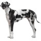 Karlie Flamingo Comfort Muzzle Nylon for Dogs, 16-22 x 18-42 cm Karlie Flamingo Comfort Muzzle Nylon for Dogs, 16-22 x 18-42 cm