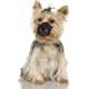 Karlie Flamingo Comfort Muzzle Nylon for Dogs, 16-22 x 18-42 cm Karlie Flamingo Comfort Muzzle Nylon for Dogs, 16-22 x 18-42 cm