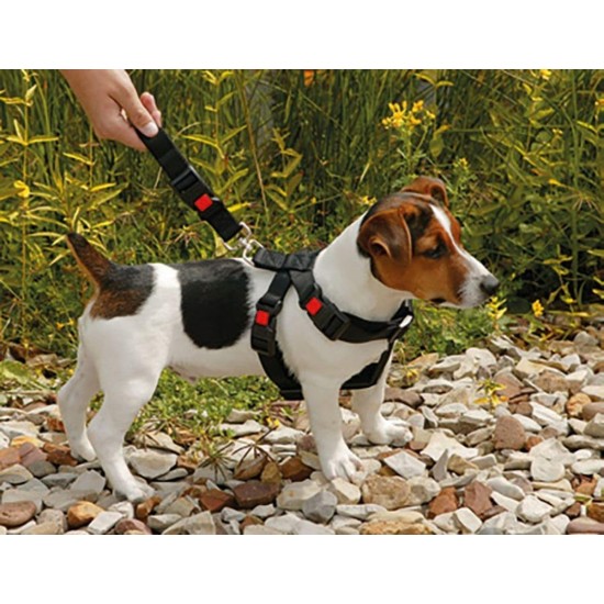 Karlie Flamingo Safety Harness, Small, Black Karlie Flamingo Safety Harness, Small, Black