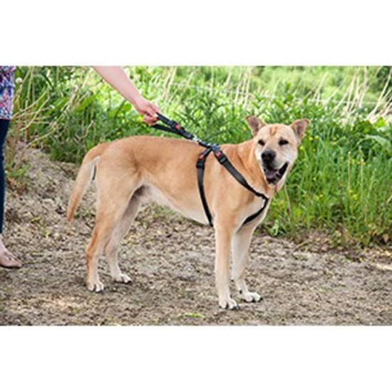 Karlie Flamingo Safety Harness, Small, Black Karlie Flamingo Safety Harness, Small, Black