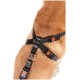 Karlie Flamingo Safety Harness, Small, Black Karlie Flamingo Safety Harness, Small, Black