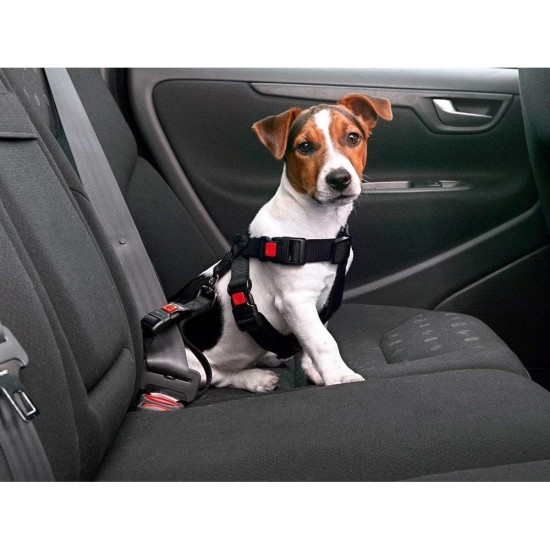 Karlie Flamingo Safety Harness, Small, Black Karlie Flamingo Safety Harness, Small, Black