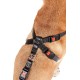 Karlie Flamingo Safety Harness, Small, Black Karlie Flamingo Safety Harness, Small, Black