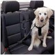 Kerbl Adjustable Safety Belt, Size Medium, Black Kerbl Adjustable Safety Belt, Size Medium, Black