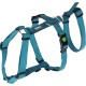 Kerbl Miami Panic Harness (Petrol, Neck Circumference 30 - 41 cm, Chest Circumference 42 - 55 cm, Waist Circumference 34 - 53 cm, Harness) 80041 Kerbl Miami Panic Harness (Petrol, Neck Circumference 30 - 41 cm, Chest Circumference 42 - 55 cm, Waist Circumference 34 - 53 cm, Harness) 80041