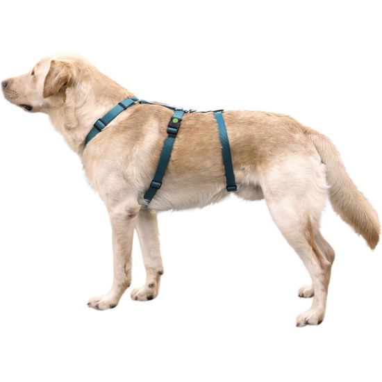 Kerbl Miami Panic Harness (Petrol, Neck Circumference 30 - 41 cm, Chest Circumference 42 - 55 cm, Waist Circumference 34 - 53 cm, Harness) 80041 Kerbl Miami Panic Harness (Petrol, Neck Circumference 30 - 41 cm, Chest Circumference 42 - 55 cm, Waist Circumference 34 - 53 cm, Harness) 80041
