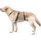 Kerbl Miami Panic Harness (Petrol, Neck Circumference 30 - 41 cm, Chest Circumference 42 - 55 cm, Waist Circumference 34 - 53 cm, Harness) 80041 Kerbl Miami Panic Harness (Petrol, Neck Circumference 30 - 41 cm, Chest Circumference 42 - 55 cm, Waist Circumference 34 - 53 cm, Harness) 80041