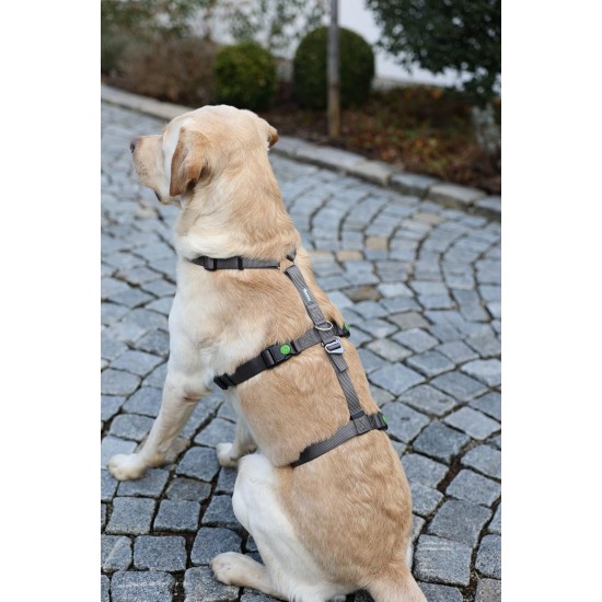 Kerbl Miami Panic Harness (Petrol, Neck Circumference 30 - 41 cm, Chest Circumference 42 - 55 cm, Waist Circumference 34 - 53 cm, Harness) 80041 Kerbl Miami Panic Harness (Petrol, Neck Circumference 30 - 41 cm, Chest Circumference 42 - 55 cm, Waist Circumference 34 - 53 cm, Harness) 80041