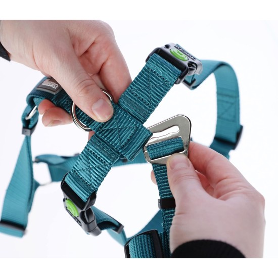 Kerbl Miami Panic Harness (Petrol, Neck Circumference 30 - 41 cm, Chest Circumference 42 - 55 cm, Waist Circumference 34 - 53 cm, Harness) 80041 Kerbl Miami Panic Harness (Petrol, Neck Circumference 30 - 41 cm, Chest Circumference 42 - 55 cm, Waist Circumference 34 - 53 cm, Harness) 80041