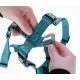 Kerbl Miami Panic Harness (Petrol, Neck Circumference 30 - 41 cm, Chest Circumference 42 - 55 cm, Waist Circumference 34 - 53 cm, Harness) 80041 Kerbl Miami Panic Harness (Petrol, Neck Circumference 30 - 41 cm, Chest Circumference 42 - 55 cm, Waist Circumference 34 - 53 cm, Harness) 80041