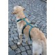 Kerbl Miami Panic Harness (Petrol, Neck Circumference 30 - 41 cm, Chest Circumference 42 - 55 cm, Waist Circumference 34 - 53 cm, Harness) 80041 Kerbl Miami Panic Harness (Petrol, Neck Circumference 30 - 41 cm, Chest Circumference 42 - 55 cm, Waist Circumference 34 - 53 cm, Harness) 80041