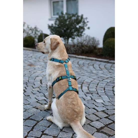 Kerbl Miami Panic Harness (Petrol, Neck Circumference 30 - 41 cm, Chest Circumference 42 - 55 cm, Waist Circumference 34 - 53 cm, Harness) 80041 Kerbl Miami Panic Harness (Petrol, Neck Circumference 30 - 41 cm, Chest Circumference 42 - 55 cm, Waist Circumference 34 - 53 cm, Harness) 80041