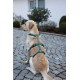 Kerbl Miami Panic Harness (Petrol, Neck Circumference 30 - 41 cm, Chest Circumference 42 - 55 cm, Waist Circumference 34 - 53 cm, Harness) 80041 Kerbl Miami Panic Harness (Petrol, Neck Circumference 30 - 41 cm, Chest Circumference 42 - 55 cm, Waist Circumference 34 - 53 cm, Harness) 80041