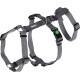 Kerbl Miami Panic Harness (Petrol, Neck Circumference 30 - 41 cm, Chest Circumference 42 - 55 cm, Waist Circumference 34 - 53 cm, Harness) 80041 Kerbl Miami Panic Harness (Petrol, Neck Circumference 30 - 41 cm, Chest Circumference 42 - 55 cm, Waist Circumference 34 - 53 cm, Harness) 80041