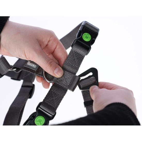 Kerbl Miami Panic Harness (Petrol, Neck Circumference 30 - 41 cm, Chest Circumference 42 - 55 cm, Waist Circumference 34 - 53 cm, Harness) 80041 Kerbl Miami Panic Harness (Petrol, Neck Circumference 30 - 41 cm, Chest Circumference 42 - 55 cm, Waist Circumference 34 - 53 cm, Harness) 80041
