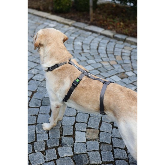 Kerbl Miami Panic Harness (Petrol, Neck Circumference 30 - 41 cm, Chest Circumference 42 - 55 cm, Waist Circumference 34 - 53 cm, Harness) 80041 Kerbl Miami Panic Harness (Petrol, Neck Circumference 30 - 41 cm, Chest Circumference 42 - 55 cm, Waist Circumference 34 - 53 cm, Harness) 80041