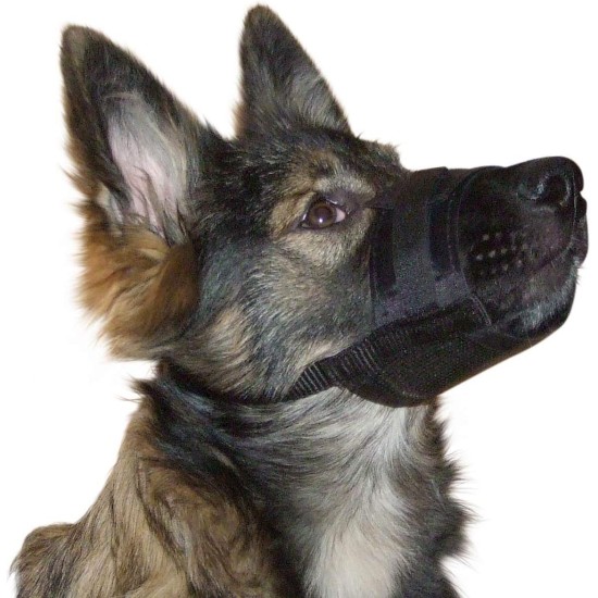 Kerbl Muzzle Nylon, 20-26 cm/ 9.5 cm/ 19-39 cm Kerbl Muzzle Nylon, 20-26 cm/ 9.5 cm/ 19-39 cm