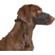 Kerbl Muzzle Nylon, 20-26 cm/ 9.5 cm/ 19-39 cm Kerbl Muzzle Nylon, 20-26 cm/ 9.5 cm/ 19-39 cm