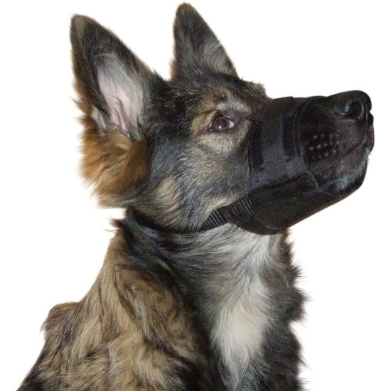 Kerbl Muzzle Nylon, 20-26 cm/ 9.5 cm/ 19-39 cm Kerbl Muzzle Nylon, 20-26 cm/ 9.5 cm/ 19-39 cm