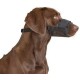 Kerbl Muzzle Nylon, 20-26 cm/ 9.5 cm/ 19-39 cm Kerbl Muzzle Nylon, 20-26 cm/ 9.5 cm/ 19-39 cm