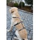 Kerbl Pet Panic Harness Miami Petrol Blue 20 mm 48-70 cm Kerbl Pet Panic Harness Miami Petrol Blue 20 mm 48-70 cm