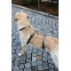 Kerbl Pet Panic Harness Miami Petrol Blue 20 mm 48-70 cm Kerbl Pet Panic Harness Miami Petrol Blue 20 mm 48-70 cm