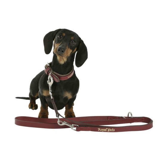 Kerbl Pets Royal Collar, 30 mm x 46 to 54 cm Kerbl Pets Royal Collar, 30 mm x 46 to 54 cm