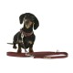 Kerbl Pets Royal Collar, 30 mm x 46 to 54 cm