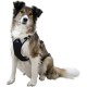 Kerbl Pulsive Dog Harness, 36/50 cm x 46/60 cm, Brown Kerbl Pulsive Dog Harness, 36/50 cm x 46/60 cm, Brown