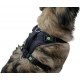 Kerbl Pulsive Dog Harness, 36/50 cm x 46/60 cm, Brown Kerbl Pulsive Dog Harness, 36/50 cm x 46/60 cm, Brown