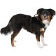 Kerbl Pulsive Dog Harness, 36/50 cm x 46/60 cm, Brown Kerbl Pulsive Dog Harness, 36/50 cm x 46/60 cm, Brown