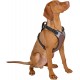 Kerbl Pulsive Dog Harness, 36/50 cm x 46/60 cm, Brown Kerbl Pulsive Dog Harness, 36/50 cm x 46/60 cm, Brown