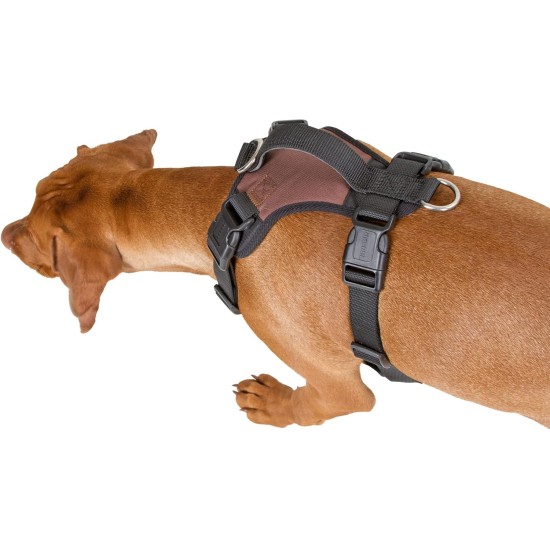 Kerbl Pulsive Dog Harness, 36/50 cm x 46/60 cm, Brown Kerbl Pulsive Dog Harness, 36/50 cm x 46/60 cm, Brown
