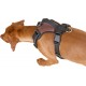 Kerbl Pulsive Dog Harness, 36/50 cm x 46/60 cm, Brown Kerbl Pulsive Dog Harness, 36/50 cm x 46/60 cm, Brown
