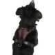 Kerbl Pulsive Dog Harness, 36/50 cm x 46/60 cm, Brown Kerbl Pulsive Dog Harness, 36/50 cm x 46/60 cm, Brown
