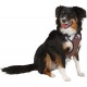 Kerbl Pulsive Dog Harness, 36/50 cm x 46/60 cm, Brown Kerbl Pulsive Dog Harness, 36/50 cm x 46/60 cm, Brown