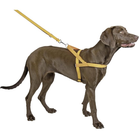 Kerbl Reflective Norwegian Harness, 25 mm x 70-90 cm Kerbl Reflective Norwegian Harness, 25 mm x 70-90 cm