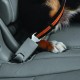 Kurgo Car Safety Tether for Dogs with Carabiner Clip, Connects Harness to Seatbelt, One Size, Black/Blue, Dog Seatbelt Loop, 01187 Kurgo Car Safety Tether for Dogs with Carabiner Clip, Connects Harness to Seatbelt, One Size, Black/Blue, Dog Seatbelt Loop, 01187