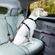 Kurgo Car Safety Tether for Dogs with Carabiner Clip, Connects Harness to Seatbelt, One Size, Black/Blue, Dog Seatbelt Loop, 01187 Kurgo Car Safety Tether for Dogs with Carabiner Clip, Connects Harness to Seatbelt, One Size, Black/Blue, Dog Seatbelt Loop, 01187
