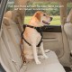 Kurgo Car Safety Tether for Dogs with Carabiner Clip, Connects Harness to Seatbelt, One Size, Black/Blue, Dog Seatbelt Loop, 01187 Kurgo Car Safety Tether for Dogs with Carabiner Clip, Connects Harness to Seatbelt, One Size, Black/Blue, Dog Seatbelt Loop, 01187